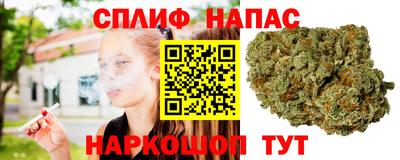 spice Можга