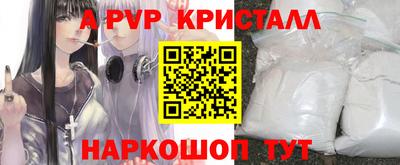 стаф Моздок